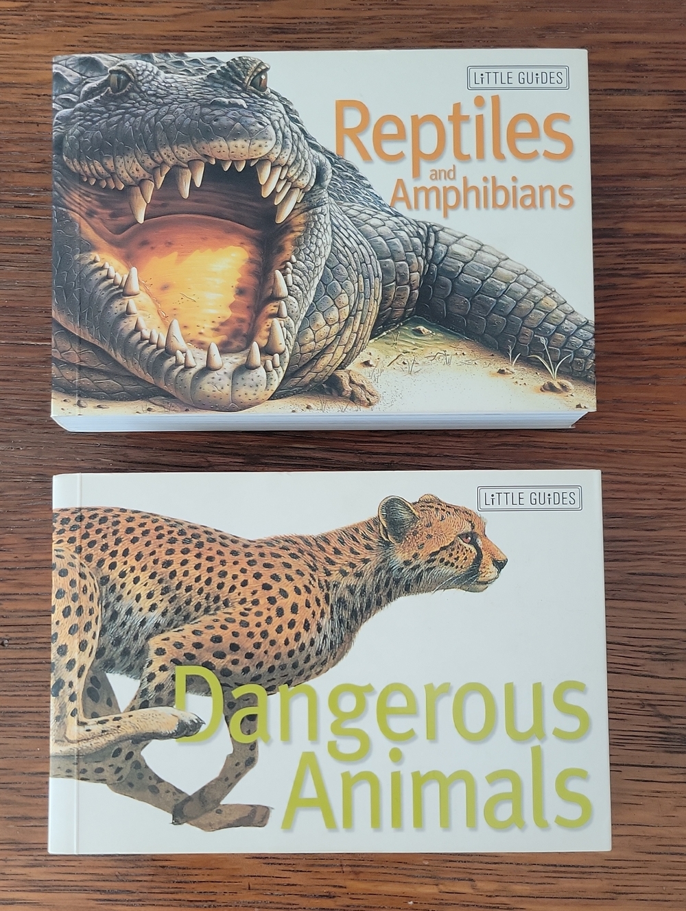 Lot of 2 Softcover Little Guides Children's Books